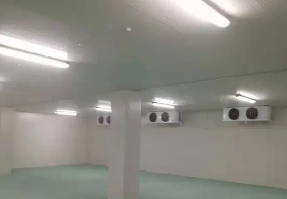 冷庫前景和利潤 冷庫前景和利潤