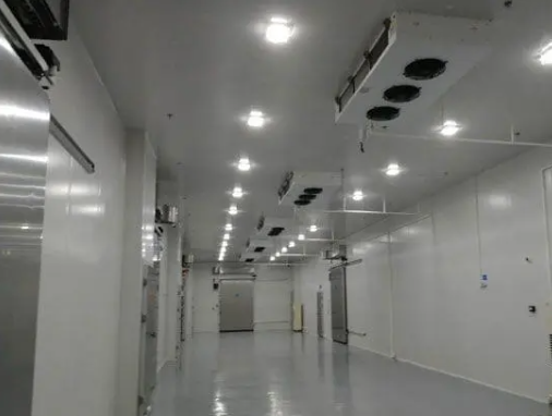 冷庫造價 冷庫造價