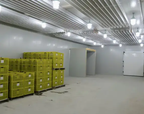 氣調(diào)保鮮冷庫(kù)造價(jià) 氣調(diào)保鮮冷庫(kù)造價(jià)