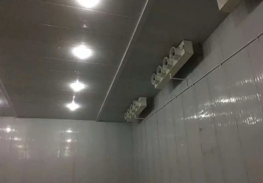 冷凍庫造價 冷凍庫造價