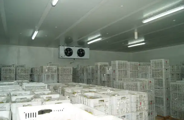 東營蔬菜恒溫冷庫安裝一平米大概多少錢 東營蔬菜恒溫冷庫安裝一平米大概多少錢