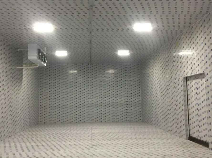 廣州冷庫建造公司哪家好一點(diǎn) 廣州冷庫建造公司哪家好一點(diǎn)