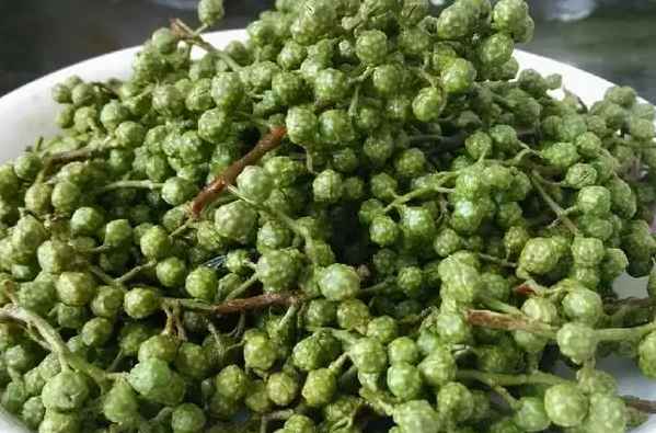 藤椒冷庫(kù)設(shè)計(jì) 藤椒冷庫(kù)設(shè)計(jì)