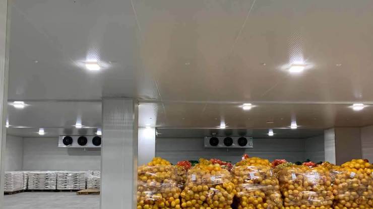 建一個500平米的冷庫造價多少錢 建一個500平米的冷庫造價多少錢