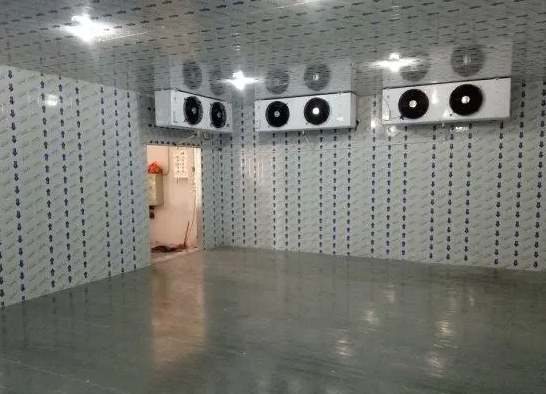 建一個普通的面包保鮮冷庫需要多少錢 建一個普通的面包保鮮冷庫需要多少錢