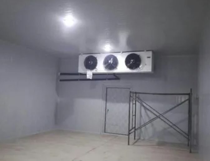 建造提子氣調保鮮庫一平米多少錢 建造提子氣調保鮮庫一平米多少錢