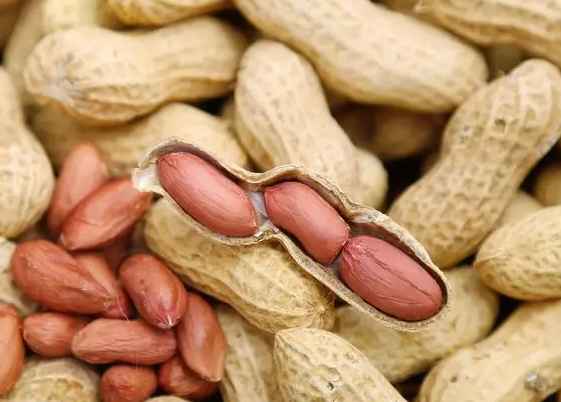 五百立方花生保鮮冷庫(kù)造價(jià)多少錢 五百立方花生保鮮冷庫(kù)造價(jià)多少錢