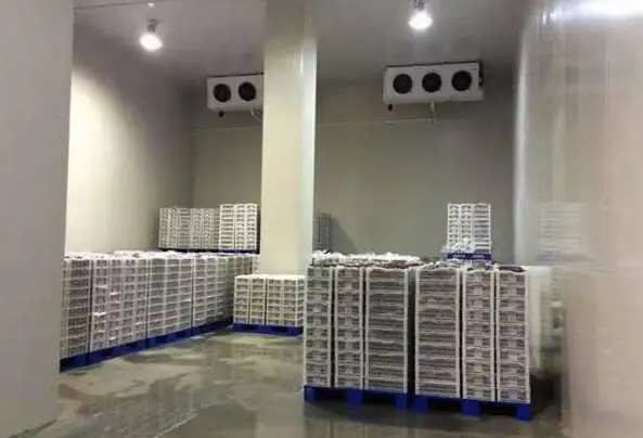 臨沂20平方冷凍庫大概需要多少錢 臨沂20平方冷凍庫大概需要多少錢