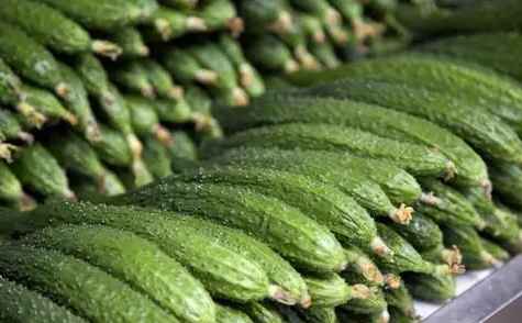 保鮮冷庫中如何正確存儲黃瓜 保鮮冷庫中如何正確存儲黃瓜