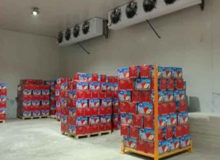 建一個大型水果保鮮冷庫一平米需要多少錢 建一個大型水果保鮮冷庫一平米需要多少錢