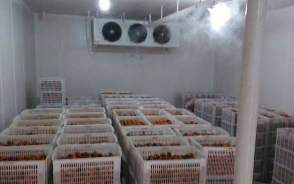 新建一個冷庫大概需要多少錢 新建一個冷庫大概需要多少錢