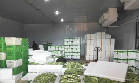 大型蔬菜冷庫(kù)工程報(bào)價(jià)多少錢(qián) 大型蔬菜冷庫(kù)工程報(bào)價(jià)多少錢(qián)