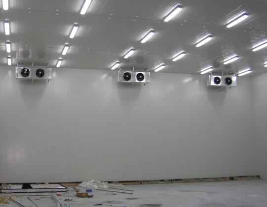 安裝100噸保鮮冷庫造價約多少錢 安裝100噸保鮮冷庫造價約多少錢