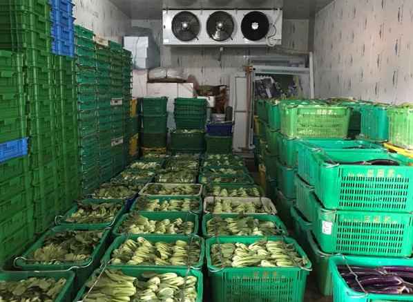 建造大型蔬菜保鮮冷庫造價多少錢 建造大型蔬菜保鮮冷庫造價多少錢