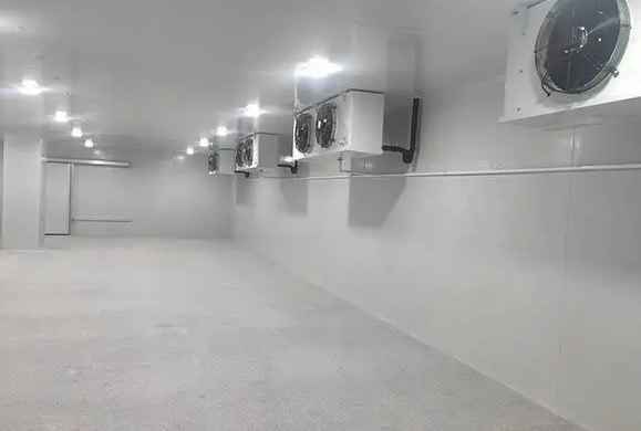 建造600平米牛奶冷庫要多少錢 建造600平米牛奶冷庫要多少錢