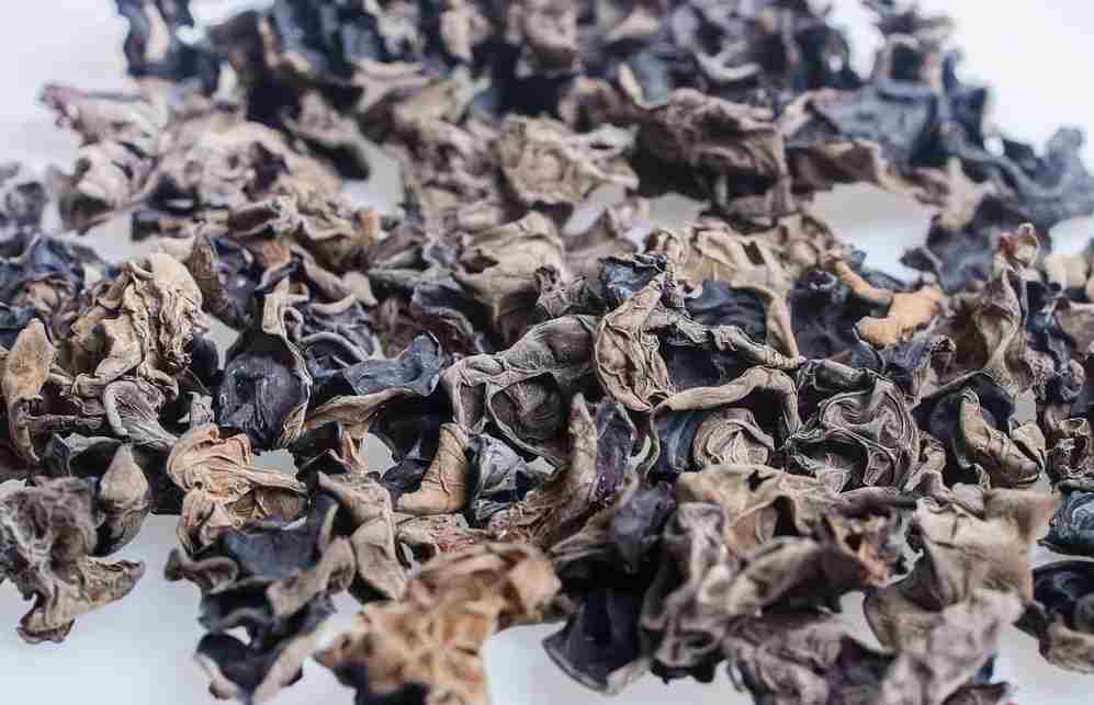 南京木耳保鮮冷庫安裝大概需要多少錢 南京木耳保鮮冷庫安裝大概需要多少錢