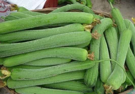 建50平米絲瓜冷庫安裝價格多少錢 建50平米絲瓜冷庫安裝價格多少錢