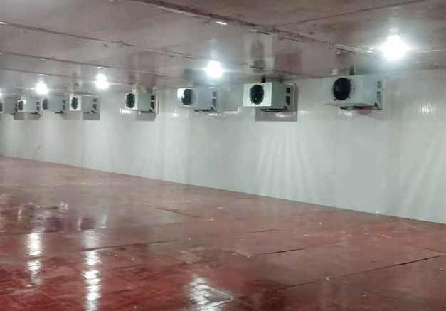 蔬菜儲(chǔ)藏冷庫(kù)造價(jià)多少錢 蔬菜儲(chǔ)藏冷庫(kù)造價(jià)多少錢