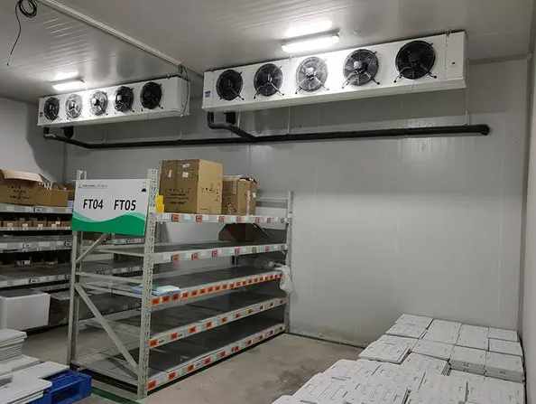 搭建大型保鮮冷庫建造多少錢 搭建大型保鮮冷庫建造多少錢