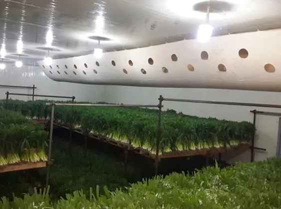 農產品冷庫安裝多少錢一平方米 農產品冷庫安裝多少錢一平方米