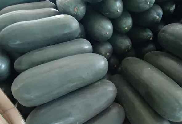 安裝30立方冬瓜冷庫多少錢 安裝30立方冬瓜冷庫多少錢