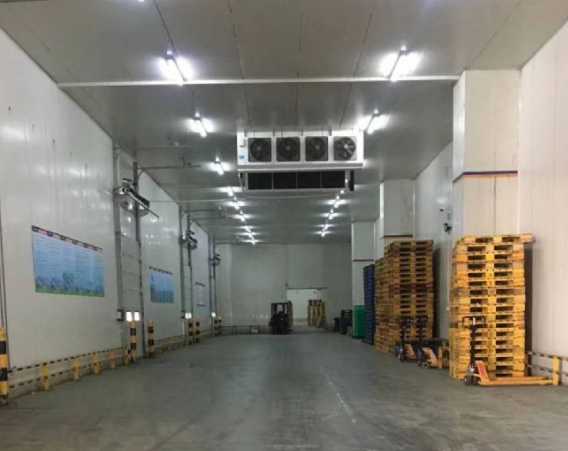 冷庫內(nèi)的消防噴淋如何設(shè)計(jì) 冷庫內(nèi)的消防噴淋如何設(shè)計(jì)