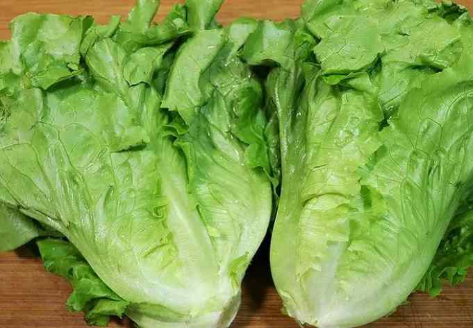 生菜在冷庫中該怎么保存時間長 生菜在冷庫中該怎么保存時間長