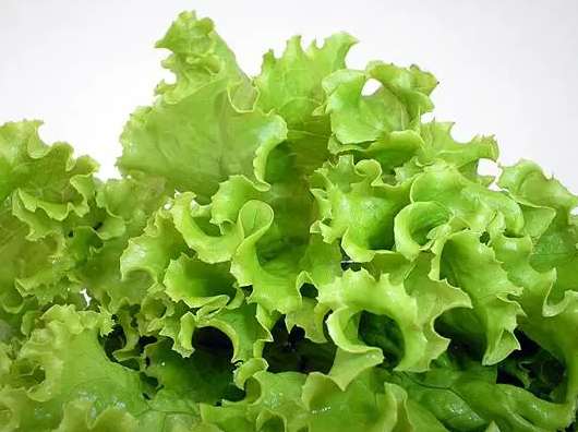 1000立方蔬菜保鮮庫造價多少錢 1000立方蔬菜保鮮庫造價多少錢