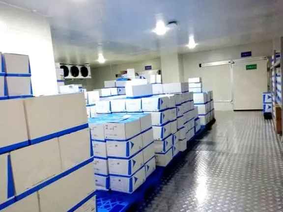 浙江醫(yī)藥冷庫(kù)安裝多少錢 浙江醫(yī)藥冷庫(kù)安裝多少錢