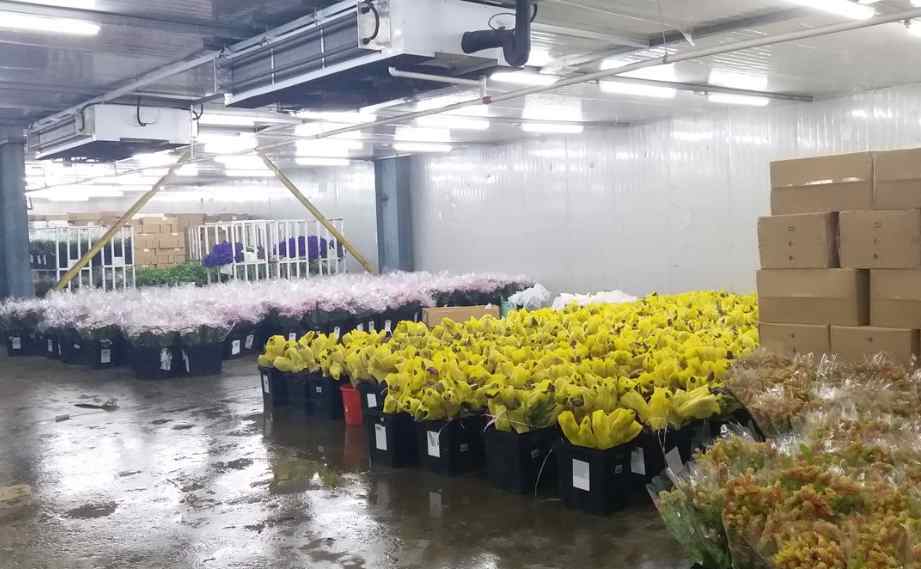 冷庫制冷工作原理是什么 冷庫制冷工作原理是什么