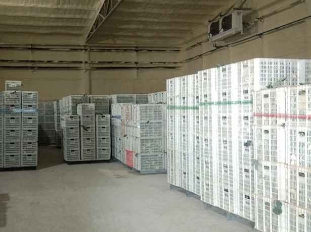 建造一個水果保鮮的20平方米冷庫,大約需要多少錢? 建造一個水果保鮮的20平方米冷庫,大約需要多少錢?