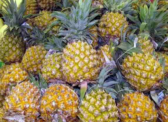 安裝菠蘿氣調冷庫多少錢 安裝菠蘿氣調冷庫多少錢