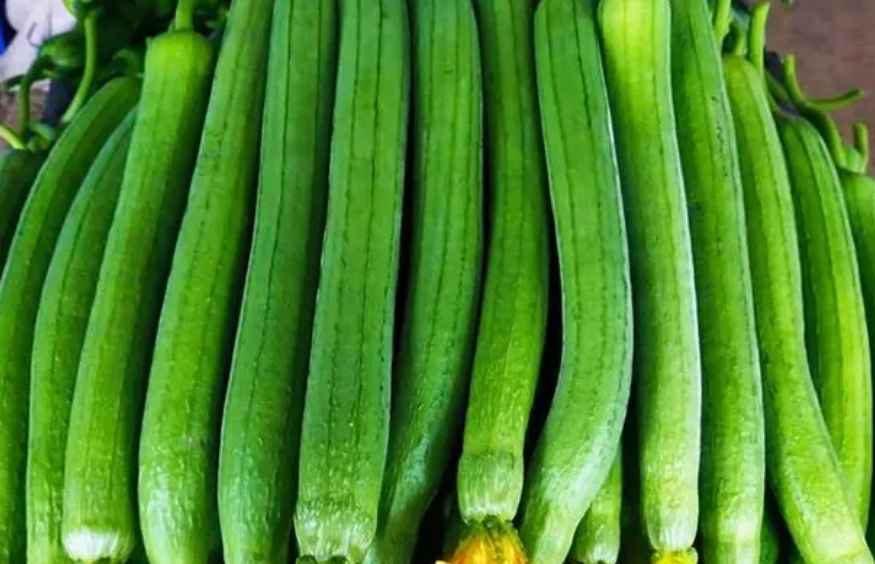 絲瓜放在中冷庫如何防止冷害發(fā)生 絲瓜放在中冷庫如何防止冷害發(fā)生