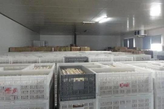 冷庫建設成本需要多少錢一平米 冷庫建設成本需要多少錢一平米