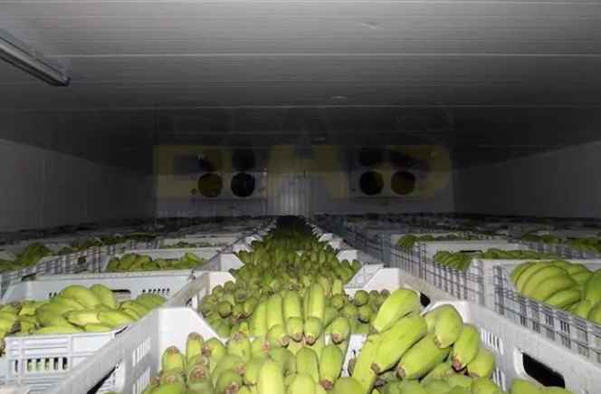 安裝水果保鮮庫多少錢一平方 安裝水果保鮮庫多少錢一平方