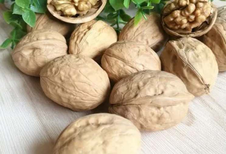 核桃放冷庫的溫度多少合適 核桃放冷庫的溫度多少合適