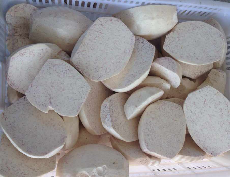 芋頭速凍冷庫可以存儲(chǔ)多久? 芋頭速凍冷庫可以存儲(chǔ)多久?