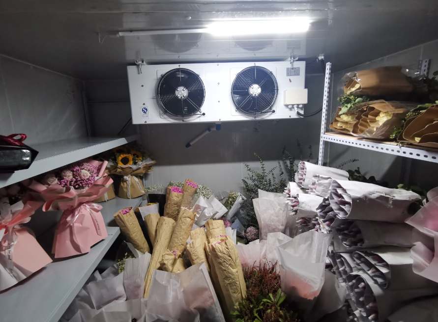 安裝15平米鮮花冷庫多少錢 安裝15平米鮮花冷庫多少錢