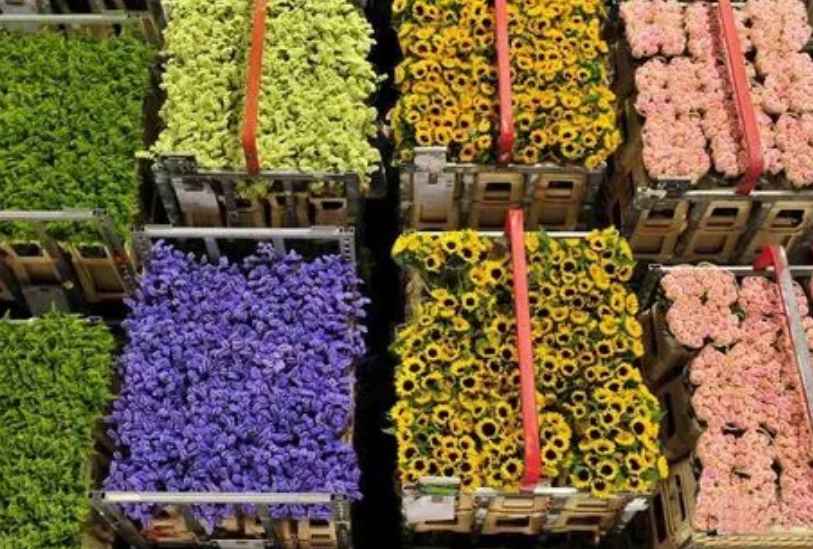 安裝15平米鮮花冷庫多少錢 安裝15平米鮮花冷庫多少錢