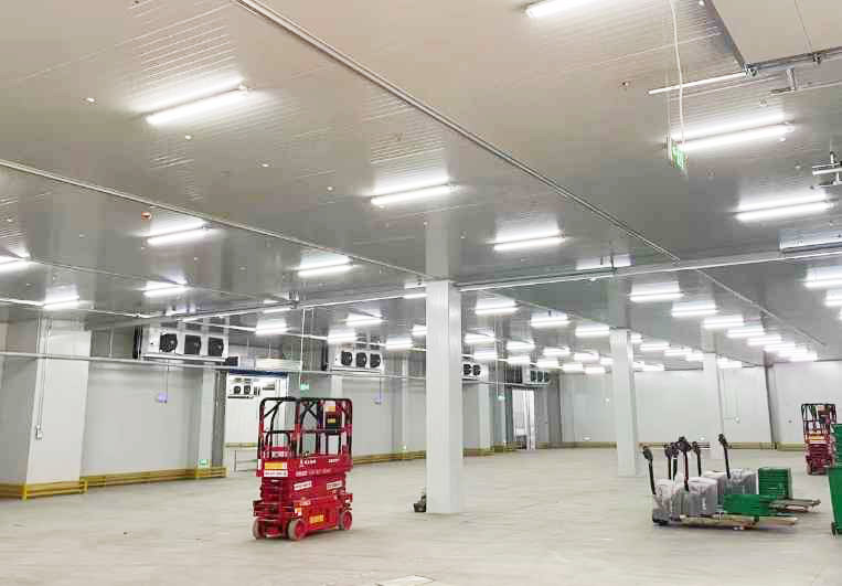 建造一個水果保鮮的20平方米冷庫,大約需要多少錢? 建造一個水果保鮮的20平方米冷庫,大約需要多少錢?