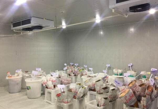 中溫冷庫工程設(shè)計預(yù)算多少錢 中溫冷庫工程設(shè)計預(yù)算多少錢