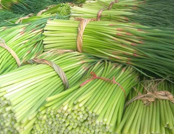 蒜苔冷庫(kù)如何正確保鮮儲(chǔ)存？