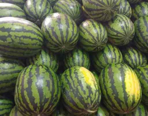 小型西瓜保鮮冷庫(kù)安裝多少錢 小型西瓜保鮮冷庫(kù)安裝多少錢