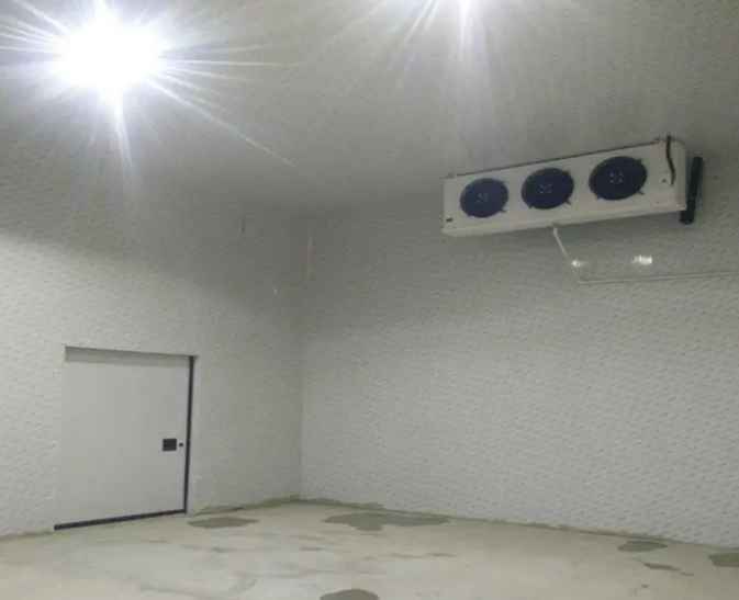 肉類冷凍庫的建造和安裝:每平方米的成本是多少? 肉類冷凍庫的建造和安裝:每平方米的成本是多少?
