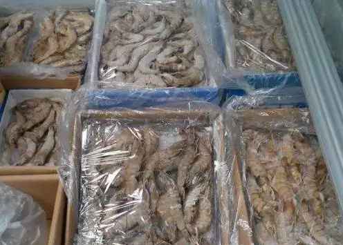 投資建650平米凍蝦冷凍庫多少錢 投資建650平米凍蝦冷凍庫多少錢