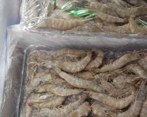 投資建650平米凍蝦冷凍庫多少錢 投資建650平米凍蝦冷凍庫多少錢