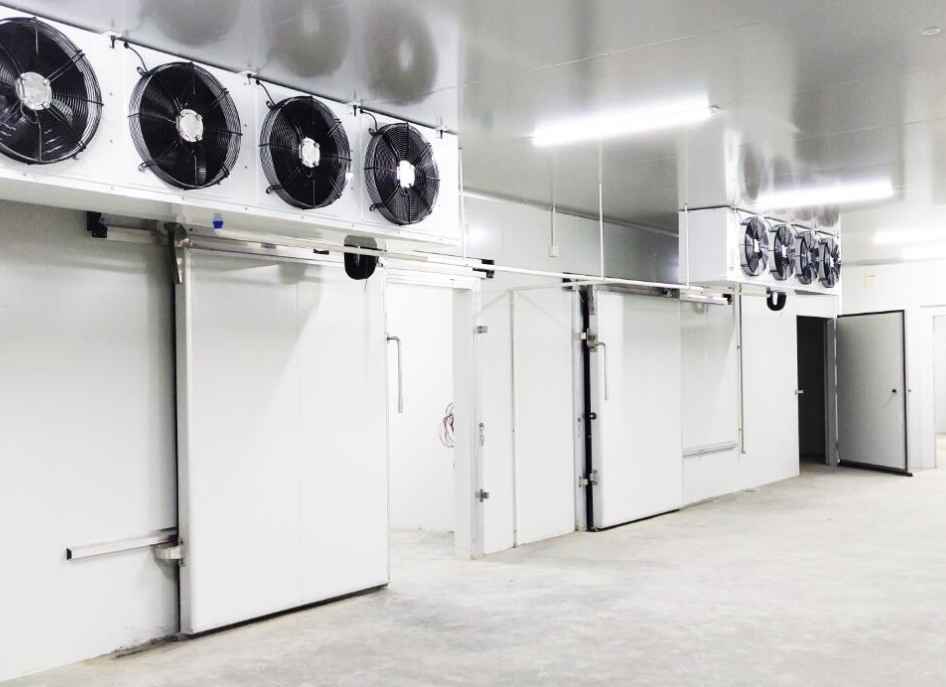 肉類冷凍庫的建造和安裝:每平方米的成本是多少? 肉類冷凍庫的建造和安裝:每平方米的成本是多少?