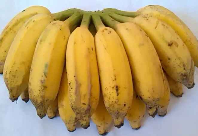 建一個兩千平方芝麻蕉冷庫得多少錢 建一個兩千平方芝麻蕉冷庫得多少錢