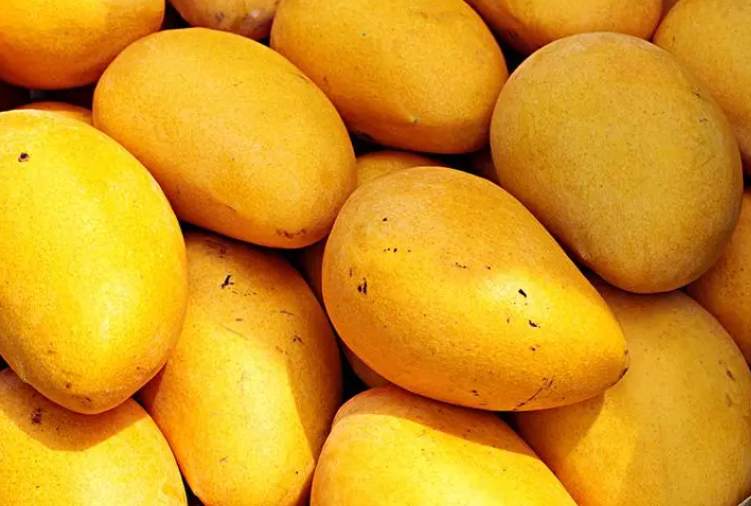 建一個200噸芒果保鮮庫多少錢 建一個200噸芒果保鮮庫多少錢