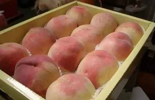 廣西6000平水果冷庫安裝大約多少錢 廣西6000平水果冷庫安裝大約多少錢